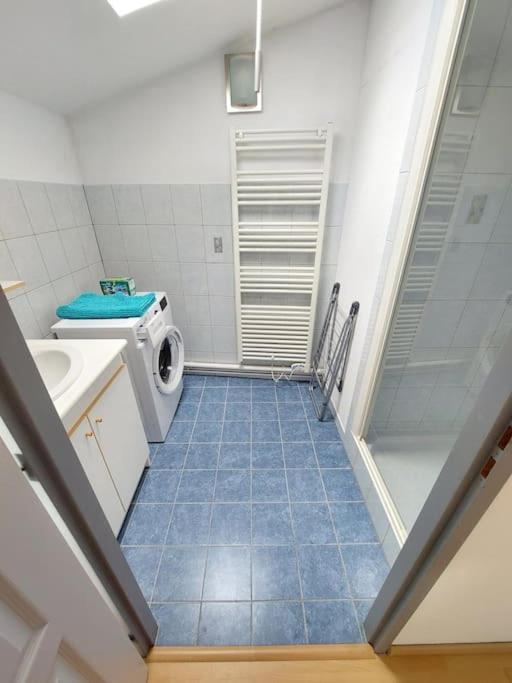 Apartment Chaleureux Remiremont